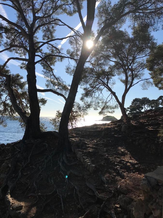 Villa Lucienne Bandol , T2 4 Etoiles Avec Garage, Dans Les Calanques エクステリア 写真